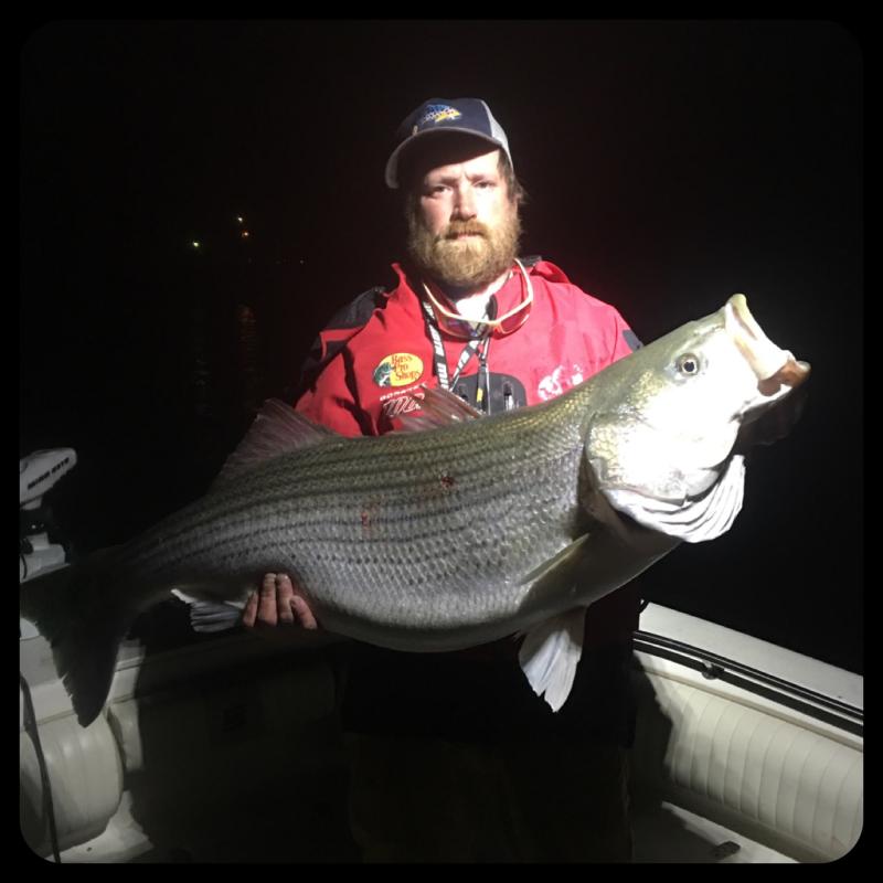 Got You Hooked Striped Bass Guide - Mike Walker